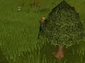 Runescape - TehNoobShow - Episode 1
