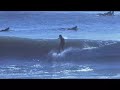 Alexandra Headlands Surf Alexandra Headlands Surf
