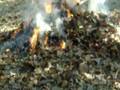 Burning the Chair part 1