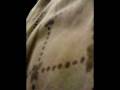 videos de Tosia