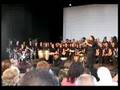 videos de Fenyang song