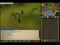A normal day of scraogx...