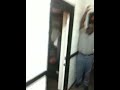 Hargrave brawl
