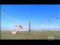 八月のエコー / YOGURT-pooh