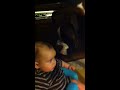Click here to watch this video Boxer Dog Attacks Baby. Horrific. Gruesome.
