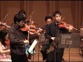 THE BEATLES - She Loves You by string orchesra THE BEATLES - She Loves You by string orchesra