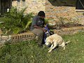 Shiner - \"Fetch\"