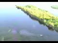 Antonov An-12 low flight