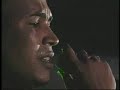 DADDY YANKEE - GATA GANTERS Ahora Le Toca Al Cangri Live