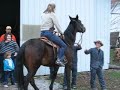 Lauren on a horse