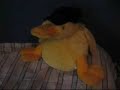 Igel The Movie
