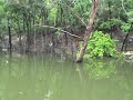 fishing ft gibson
