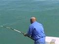 Miss Mary Mexico Beach Florida Fishing Trip