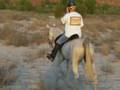 Early Evening Ride