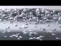 The Water Specialist Hillsborough NC
