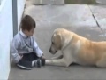 Bambino Down e un Labrador commovente