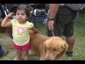 videos de HCN LOCAL A 13/10/2008