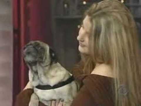 Talking dog