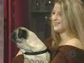 Talking dog