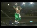 Hayabusa FMW -Gambate Tribute-