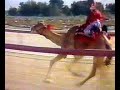 الوثبه لها صولات وجولات..وهي من انتاج جبار ..المختبروللمزيد من المعلومات حياكم في برزات العزبهhttp://www.3zba.com/