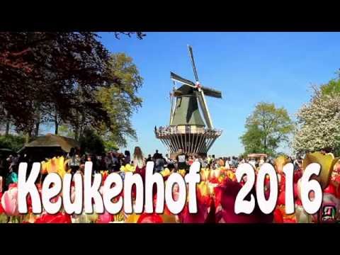 Video Keukenhof 2016 Video Keukenhof 2016