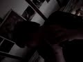 norbert le hamster - performed by mushroom by night