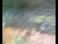 videos de Choeet Banger (Nitraat)