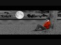 gulzar - elehedgi