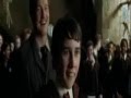 harry-potter-MEGA-wa
