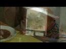 labor-de-amanc-mxico.html