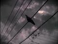 Trampled Rose - Tom Waits