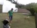 videos de kachy violento.3gp
