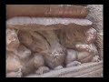 sanchi india part 35