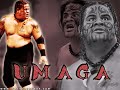TODOS LOS FINISHERS DE LA WWE