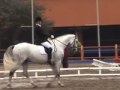 Erika Baitenmann y Rodena GAAE para ecuestre Kur Erika Baitenmann y Rodena GAAE para ecuestre Kur