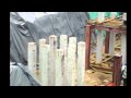 Ver Video