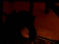 videos de montligeon aout 2008 368