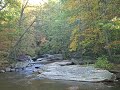 Morgan Run Clip-BirdSongs-MikeMaloney Morgan Run Clip-BirdSongs-MikeMaloney