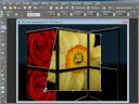 Photoshop (Reflect Effects)