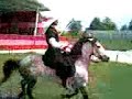 21may?s,1864 �erkes s�rg�n�
