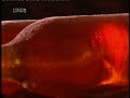RTL KLUB Hungary Closedown PM5544 RTL KLUB Hungary Closedown PM5544