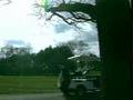 "Bye Bye Birdies" 1996 Dog Chases Golf Course Geese