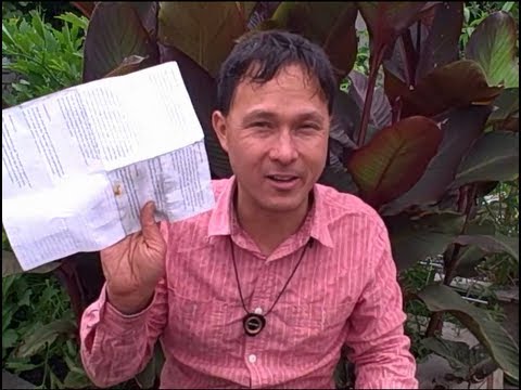 video-linktoworks-Can I Grind up Drywall to add Rock Dust to My Garden?...