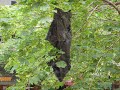 Halte aux sacs plastiques Halte aux sacs plastiques