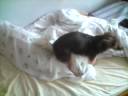 Lola vs almohada.3gp