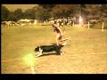 See Video