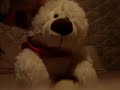 Osito de peluche bailando música brasilera