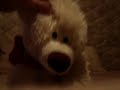 Osito de peluche bailando música brasilera
