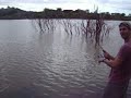 pescando...